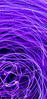 Dark Fiber Europe 4